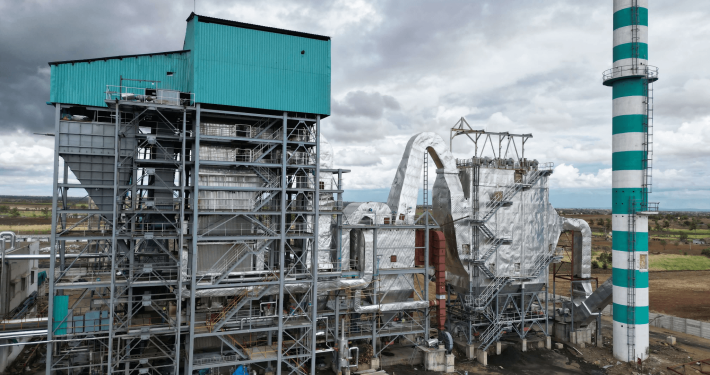 What is biomass energy
