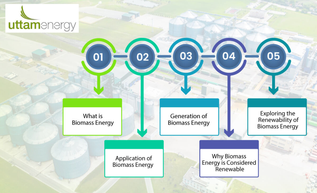 Is biomass renewable
